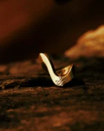 Anel Ciclos - Imagem 3